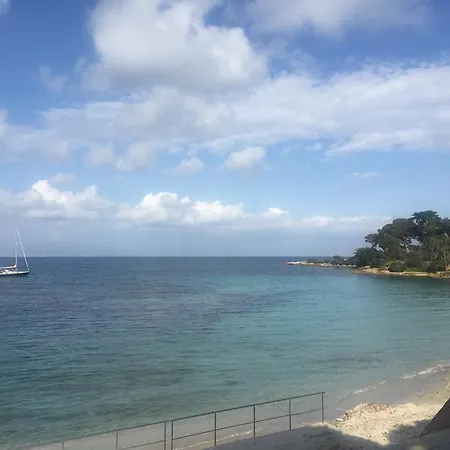 Antibes Les Pins Apartment